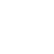 Logo ibis